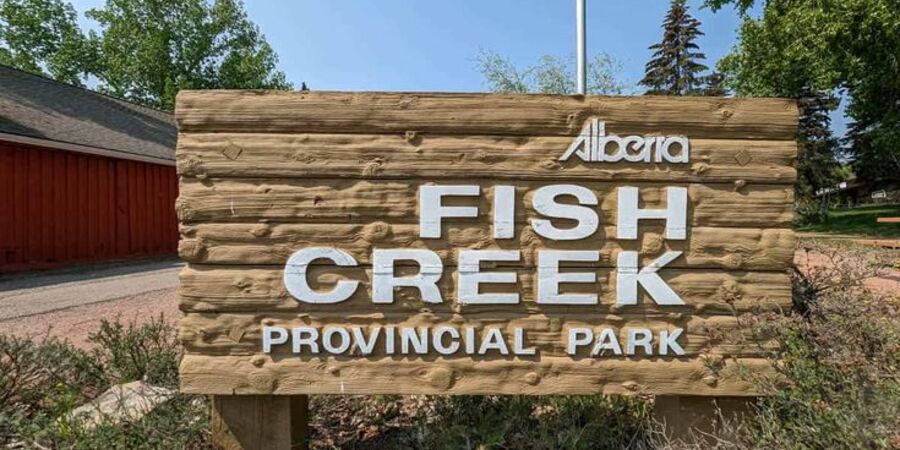 A fun activity of watching fishes in park for free.