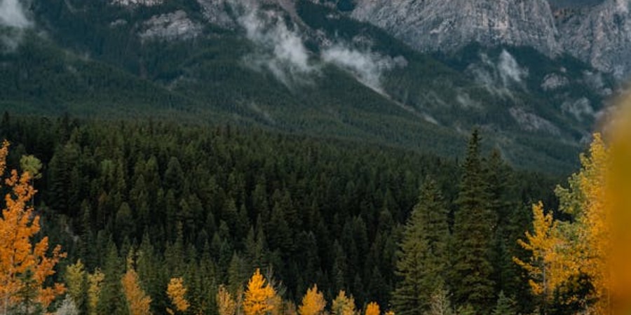 calgary fall