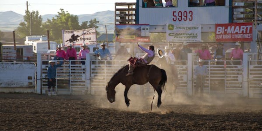 adventurous calgary festival